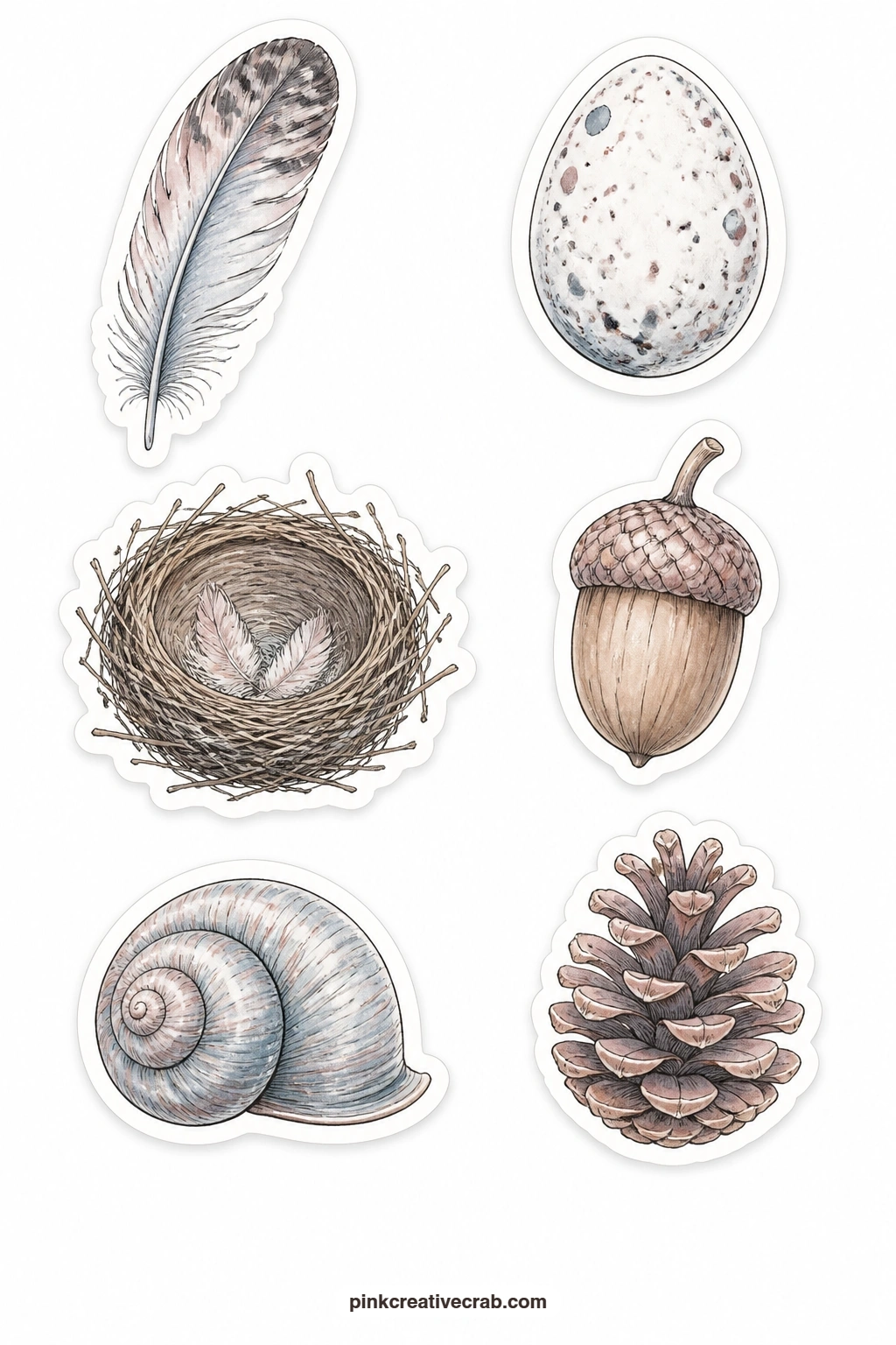 Nature Finds Stickers printable page — A feather, a bird egg, a nest, an acorn, a snail shell and a pinecone fill this sheet, six small finds for anyone