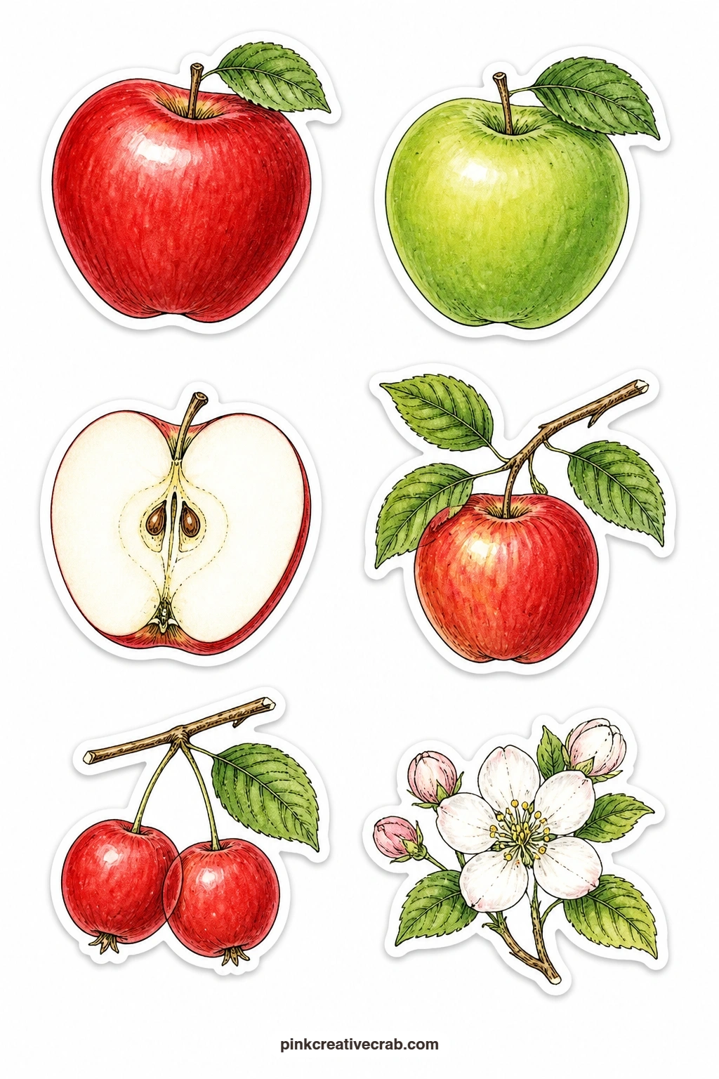 Apple Stickers printable page — A red apple, a green apple, an apple slice, an apple on a branch, a crab apple pair and an apple blossom sprig fill this sheet