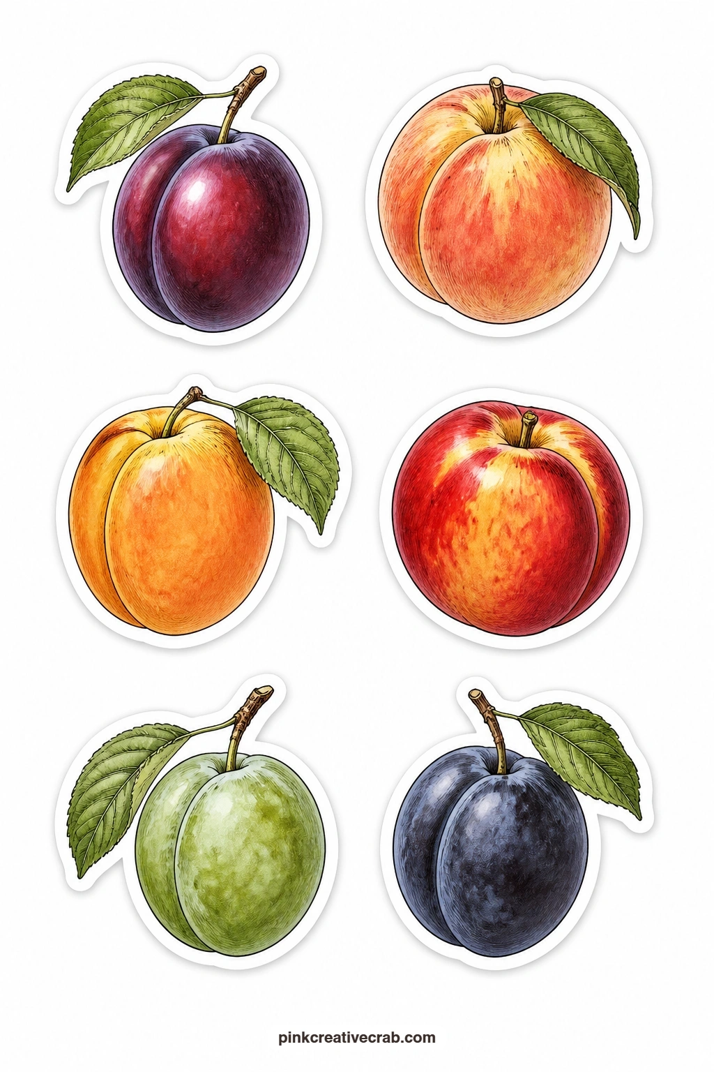 Stone Fruit Stickers printable page — A plum, a peach, an apricot, a nectarine, a greengage and a damson sit side by side on this sheet, a soft palette of