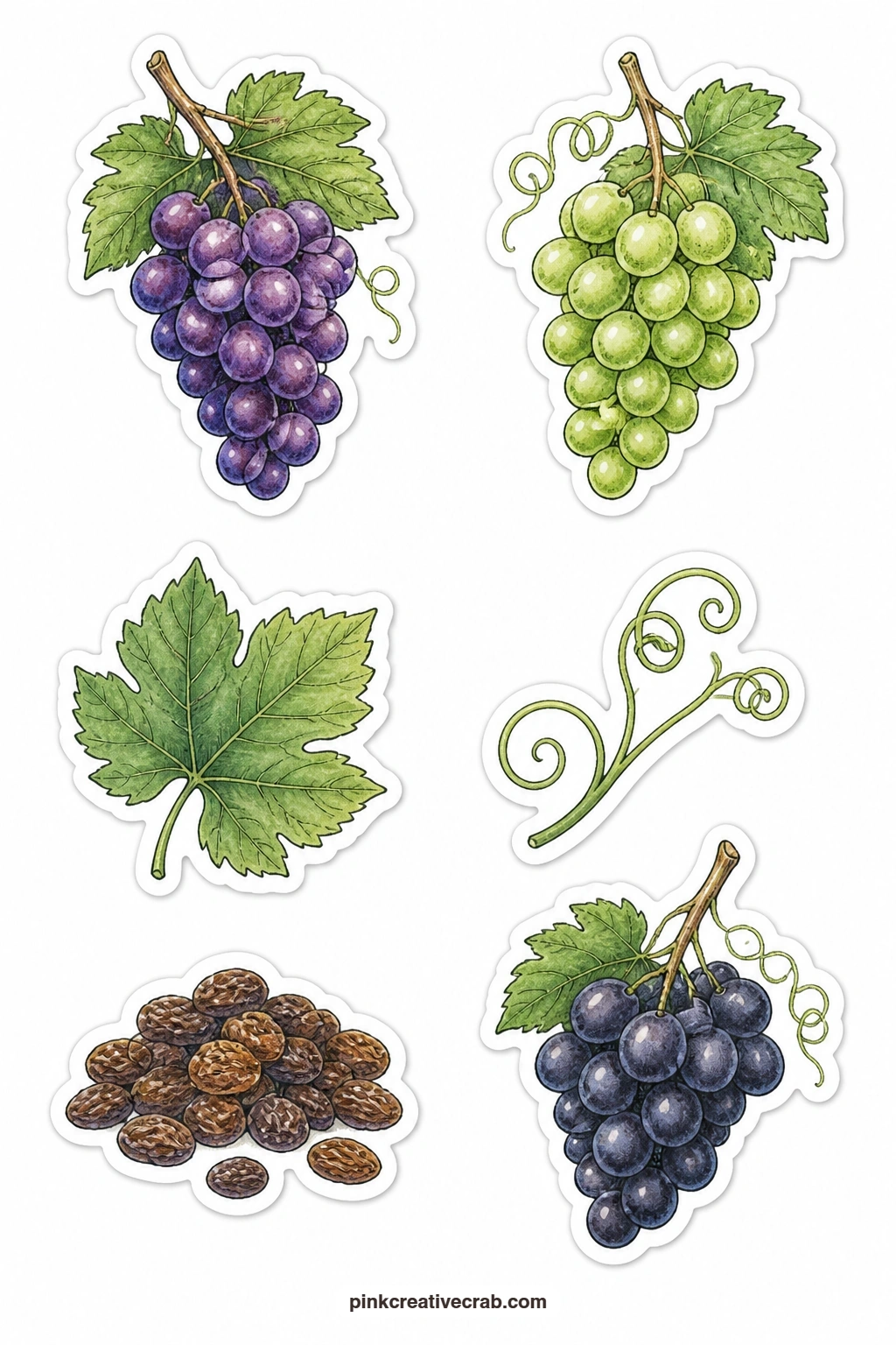 Grape Stickers printable page — A purple grape bunch, a green grape bunch, a vine leaf, a grape tendril, a raisin pile and a wine grape cluster turn one fruit