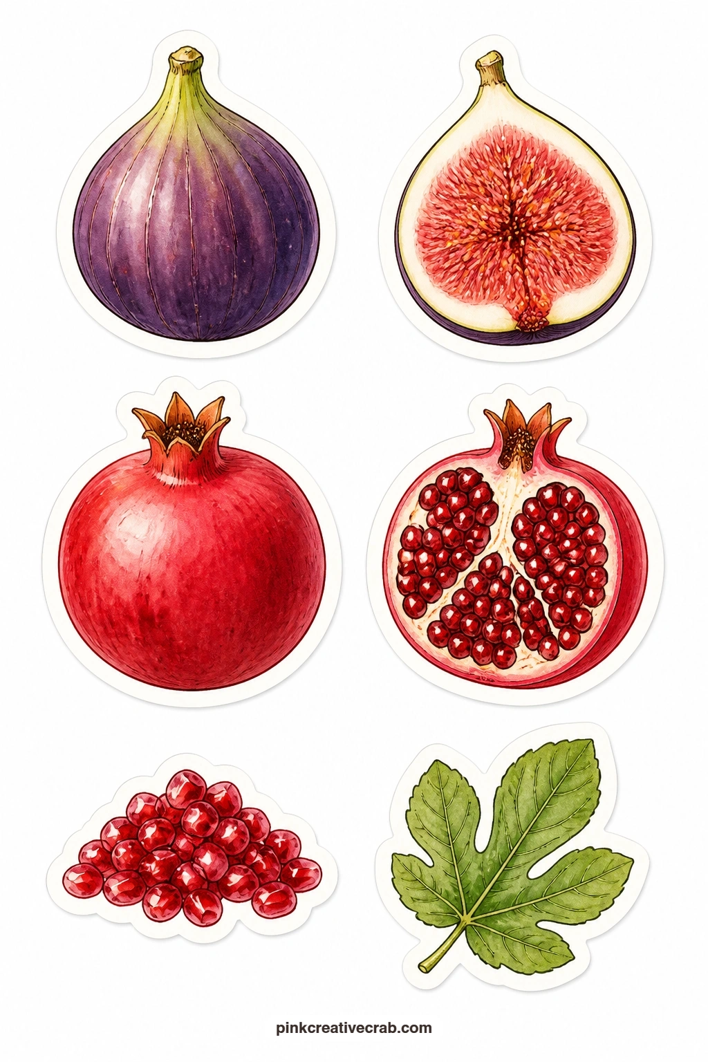 Fig and Pomegranate Stickers printable page — A fig, a fig half, a pomegranate, a pomegranate half, a seed pile and a fig leaf give this sheet rich jewel