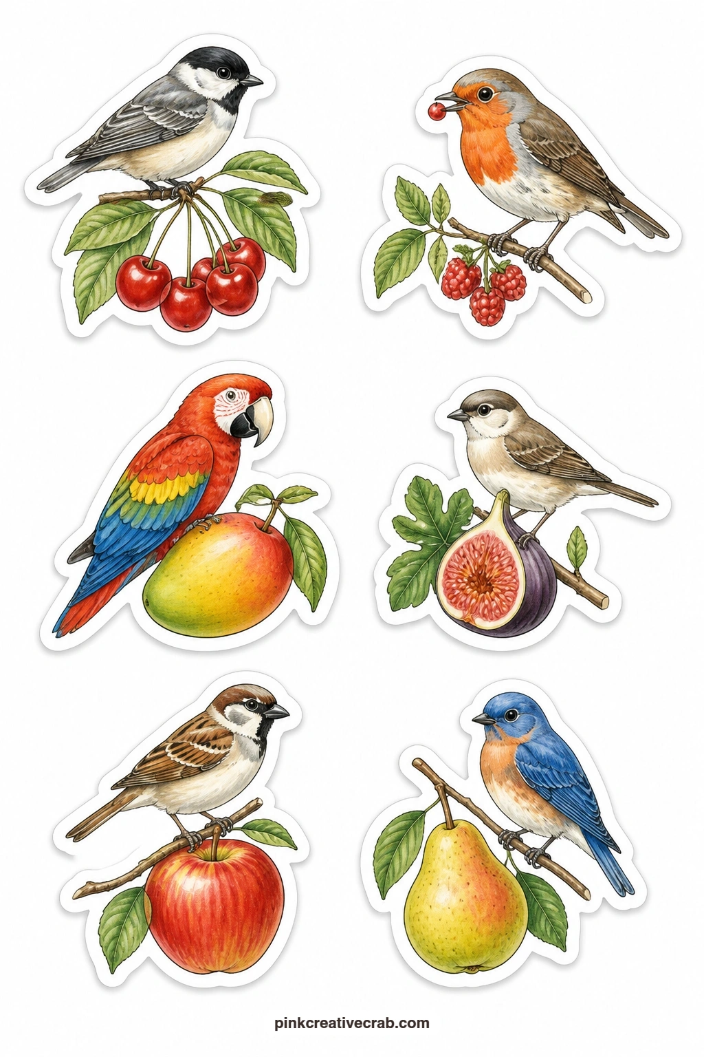 Fruit and Bird Stickers printable page — A bird on a cherry branch, a robin with a berry, a parrot with a mango, a bird with a fig, a sparrow on an apple and a