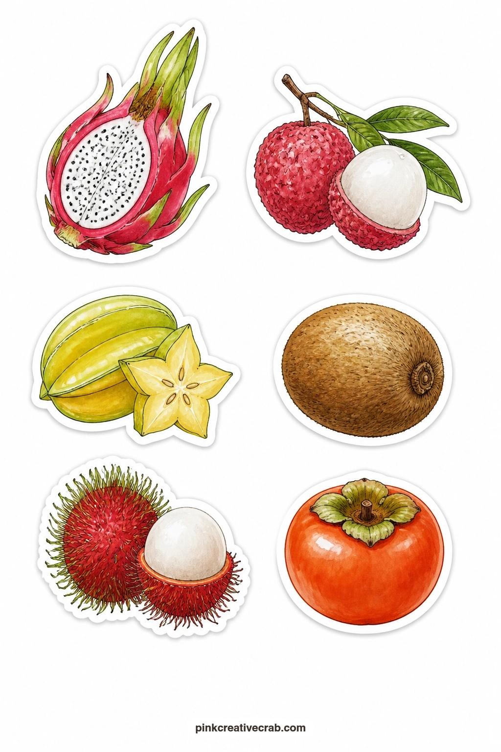 Exotic Fruit Stickers printable page — A dragon fruit, a lychee, a star fruit, a kiwi, a rambutan and a persimmon step outside the usual orchard fruit for