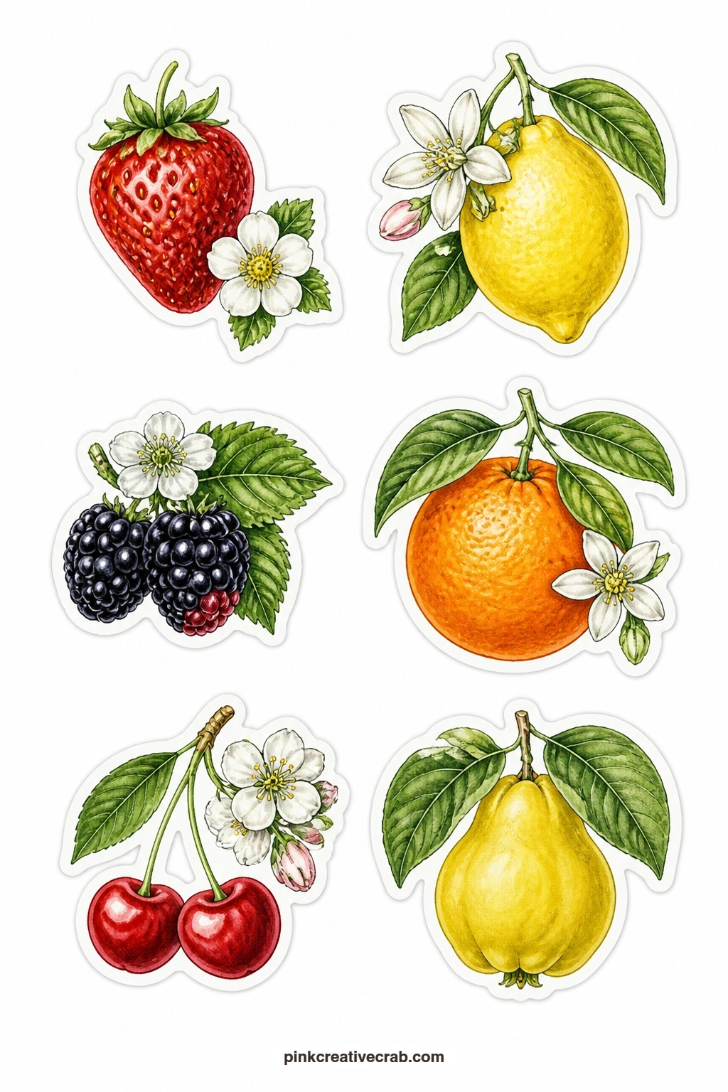 Fruit With Blossom Stickers printable page — A strawberry with a flower, a lemon with blossoms, a blackberry with flowers, an orange with leaves, a cherry with