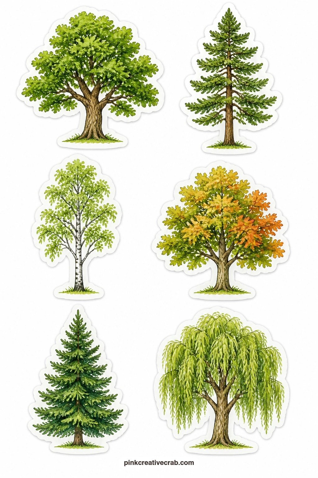Forest Trees Stickers printable page — Six familiar trees stand together here: oak, pine, birch, maple, fir and willow, drawn as simple standalone shapes