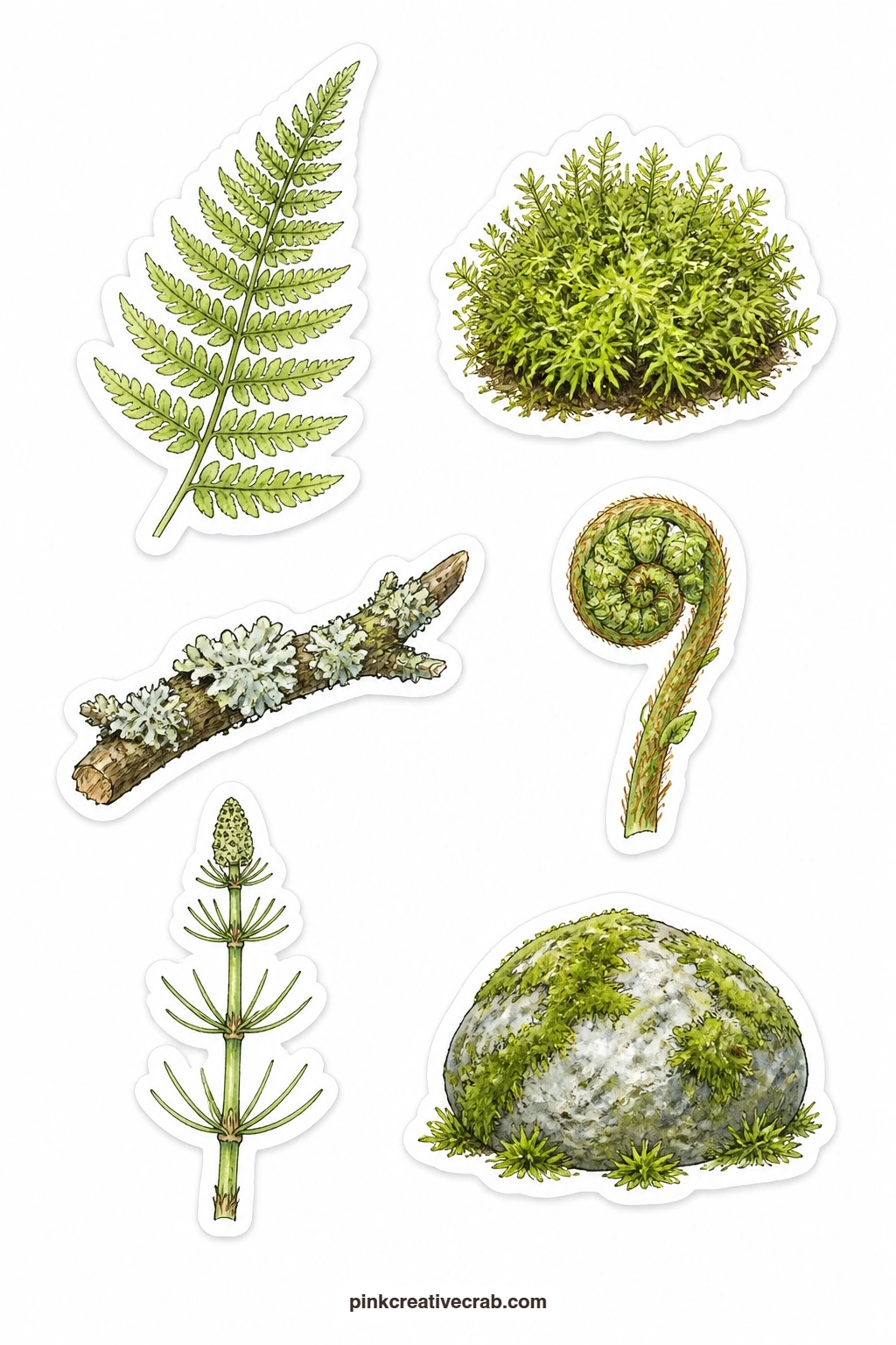 Ferns and Moss Stickers printable page — Leave a thin white border around the fiddlehead and the fern frond when you cut these, the curled tips are the most