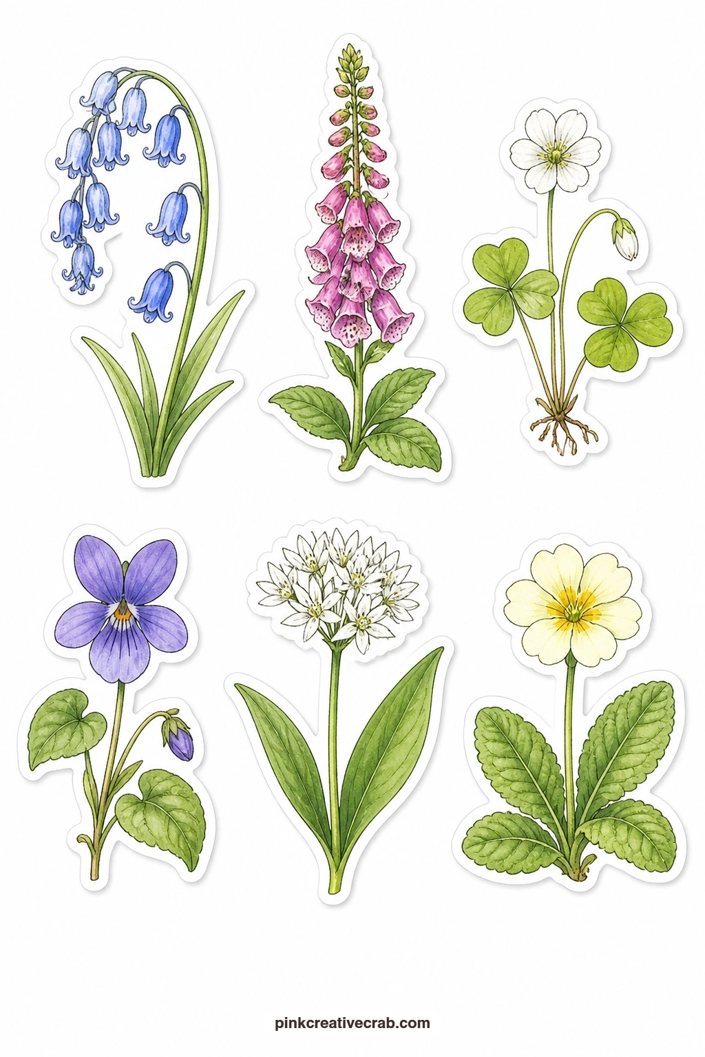 Wildflowers in the Woods Stickers printable page — Bluebell, foxglove, wood sorrel, violet, wild garlic flower and primrose stand here as six single wildflower