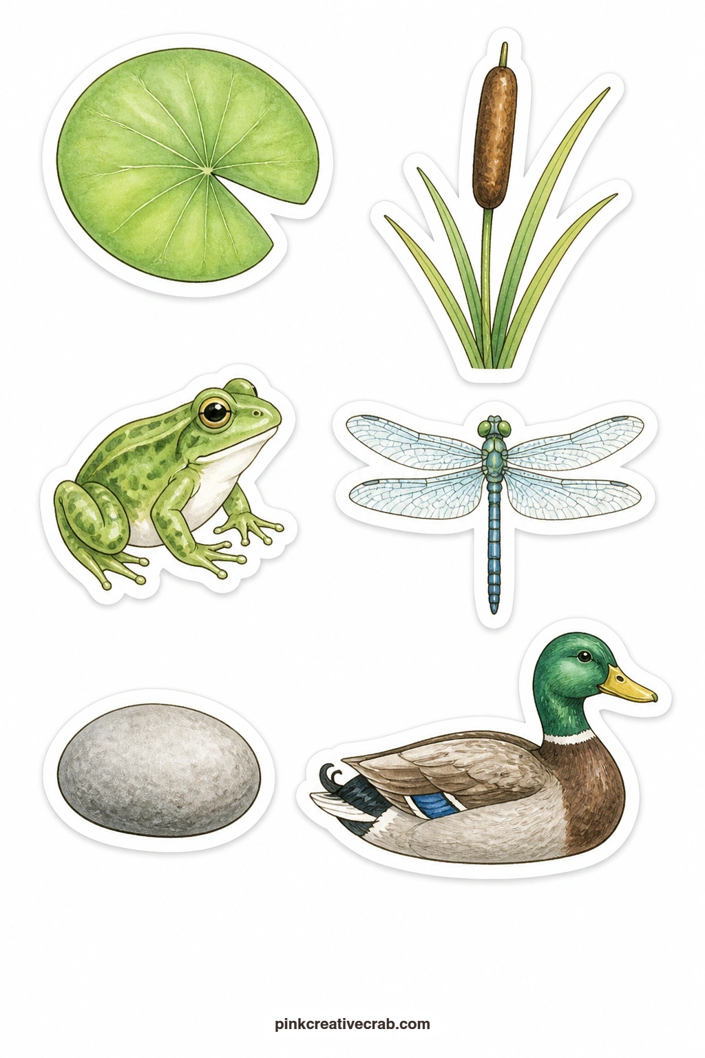 Rivers and Ponds Stickers printable page — A lily pad, a cattail, a frog, a dragonfly, a pebble and a duck make up this quiet water themed sheet, each object