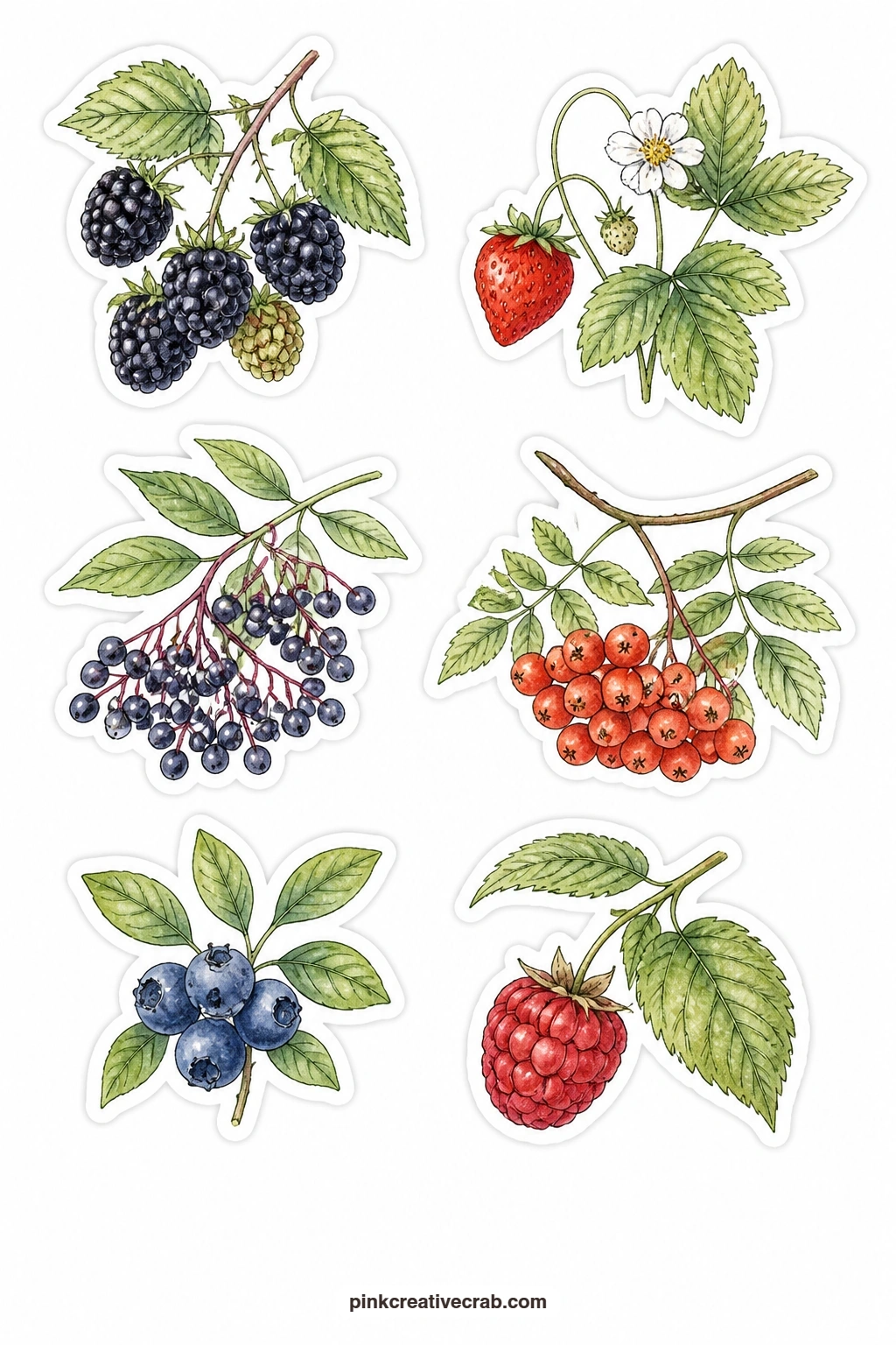 Berries Stickers printable page — Blackberry bramble, wild strawberry, elderberry, rowan berry, blueberry and raspberry fill this sheet with six separate berry