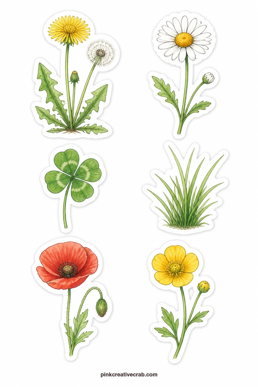 Meadow Stickers printable page — Dandelion, daisy, clover, grass tuft, poppy and buttercup make up the meadow sheet, six small ground level flowers and grasses