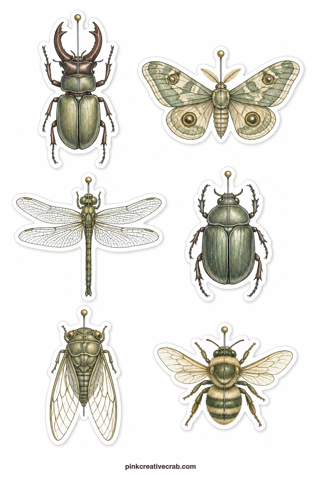 Pinned Insect Stickers printable page — Six pinned specimens fill this sheet, a stag beetle, a moth with open wings, a dragonfly, a scarab beetle, a cicada and
