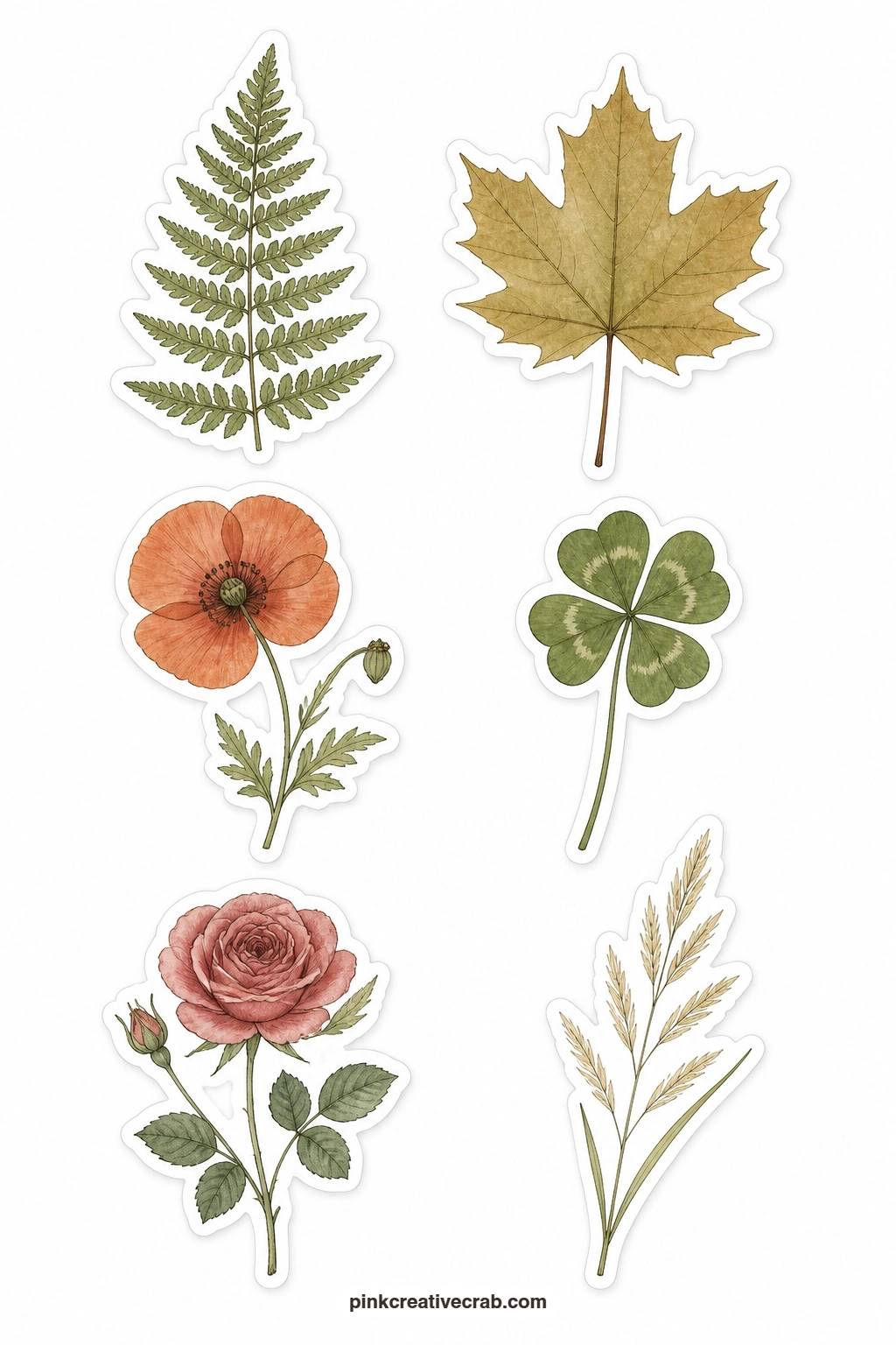 Pressed Botanical Stickers printable page — Five minutes is enough to cut just two or three of these pressed pieces, a fern, a maple leaf or a poppy, and tuck