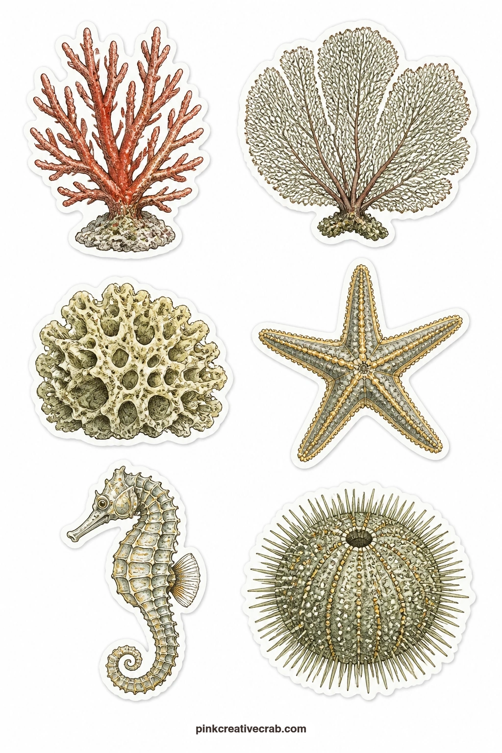 Coral and Sea Life Stickers printable page — Six ocean pieces sit on this sheet, a branch of red coral, a sea fan, a natural sponge, a starfish, a sea horse