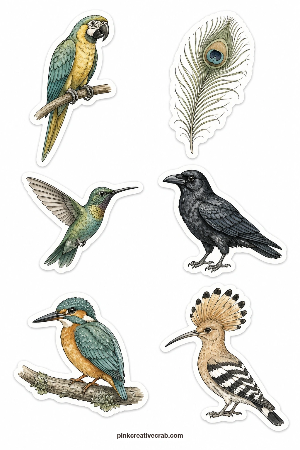 Curious Bird Stickers printable page — Cut the peacock feather and the hummingbird with small detail scissors first, since their narrow tips are the easiest