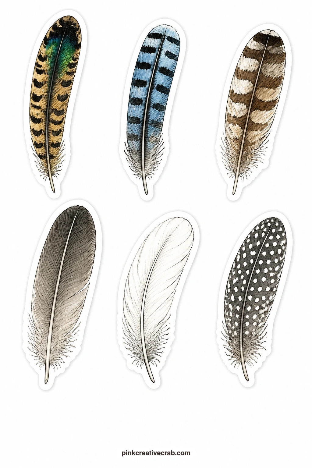 Feather Collection Stickers printable page — Long and narrow feathers fill this sheet, a pheasant feather, a jay feather, an owl feather, a goose quill, a swan