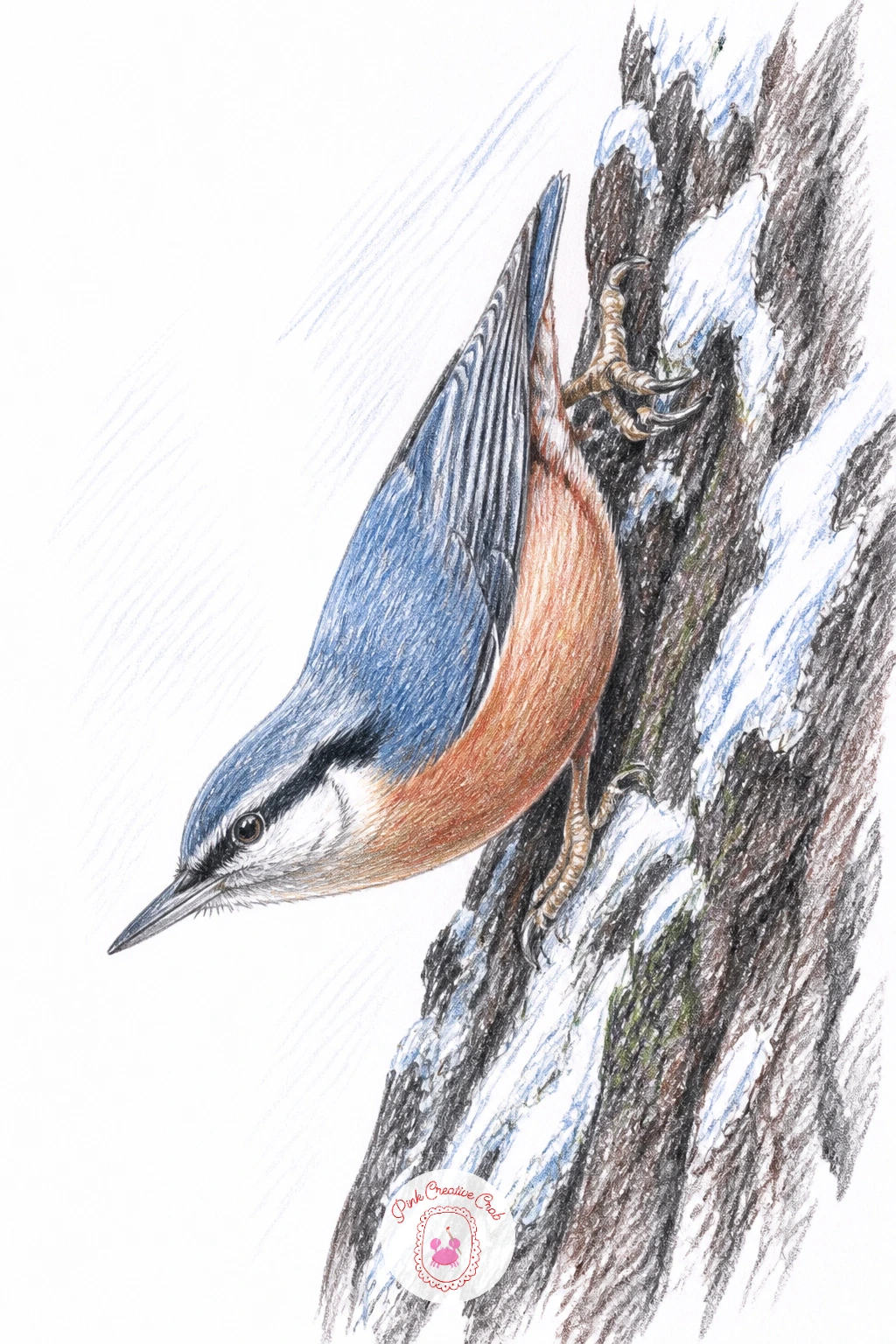 Nuthatch Walking Down Tree Trunk — Try a nuthatch next, the only backyard bird that walks face-first down a tree trunk, which makes for a genuinely different