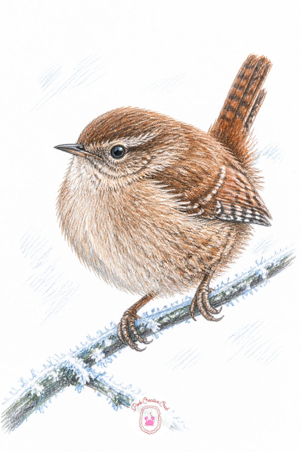 Puffed Up Wren On Frosty Twig — Draw a wren puffed into a near-perfect ball on a thin frosty twig for one of the simplest shapes on this whole list. Birds