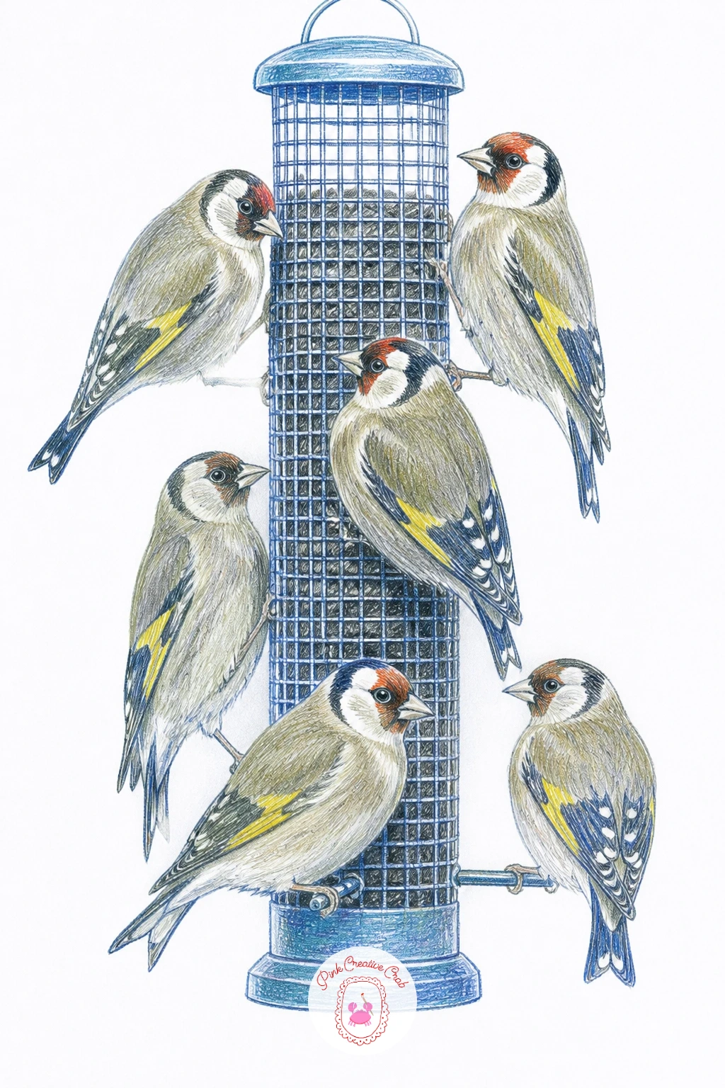 Goldfinches In Winter Feathers On Thistle Feeder — Draw a small flock of goldfinches in their duller winter colors clustered on a thistle sock feeder. Birds