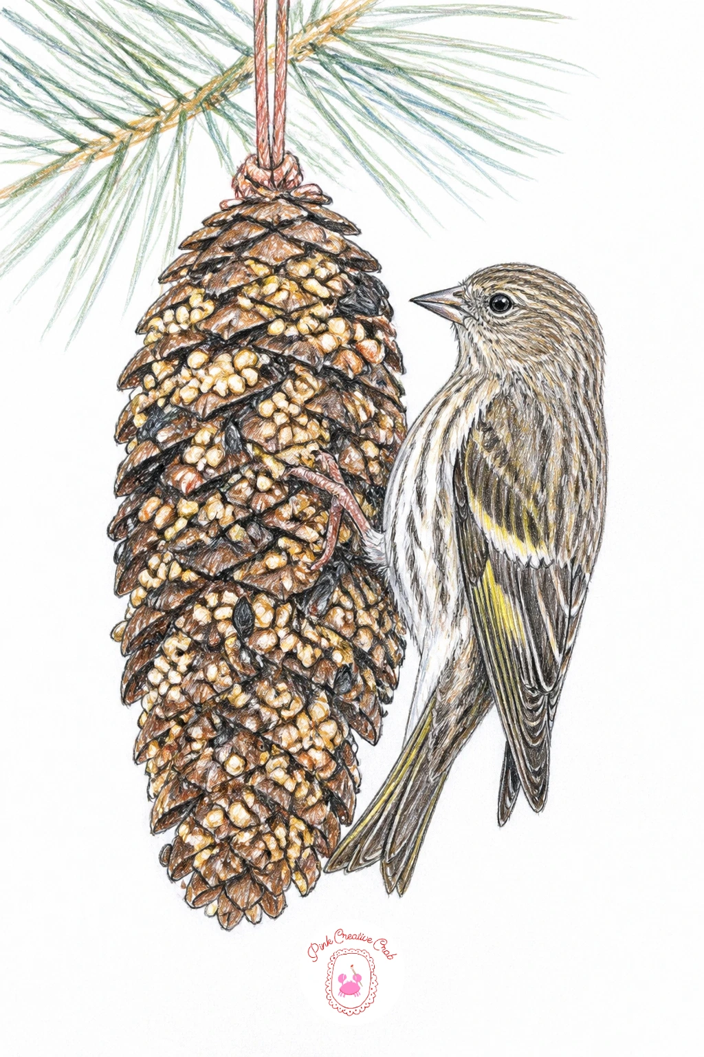 Pine Siskin On Pine Cone Feeder — Try a pine siskin working at a pine cone coated in seed and suet, a feeder style with plenty of interesting texture to draw.