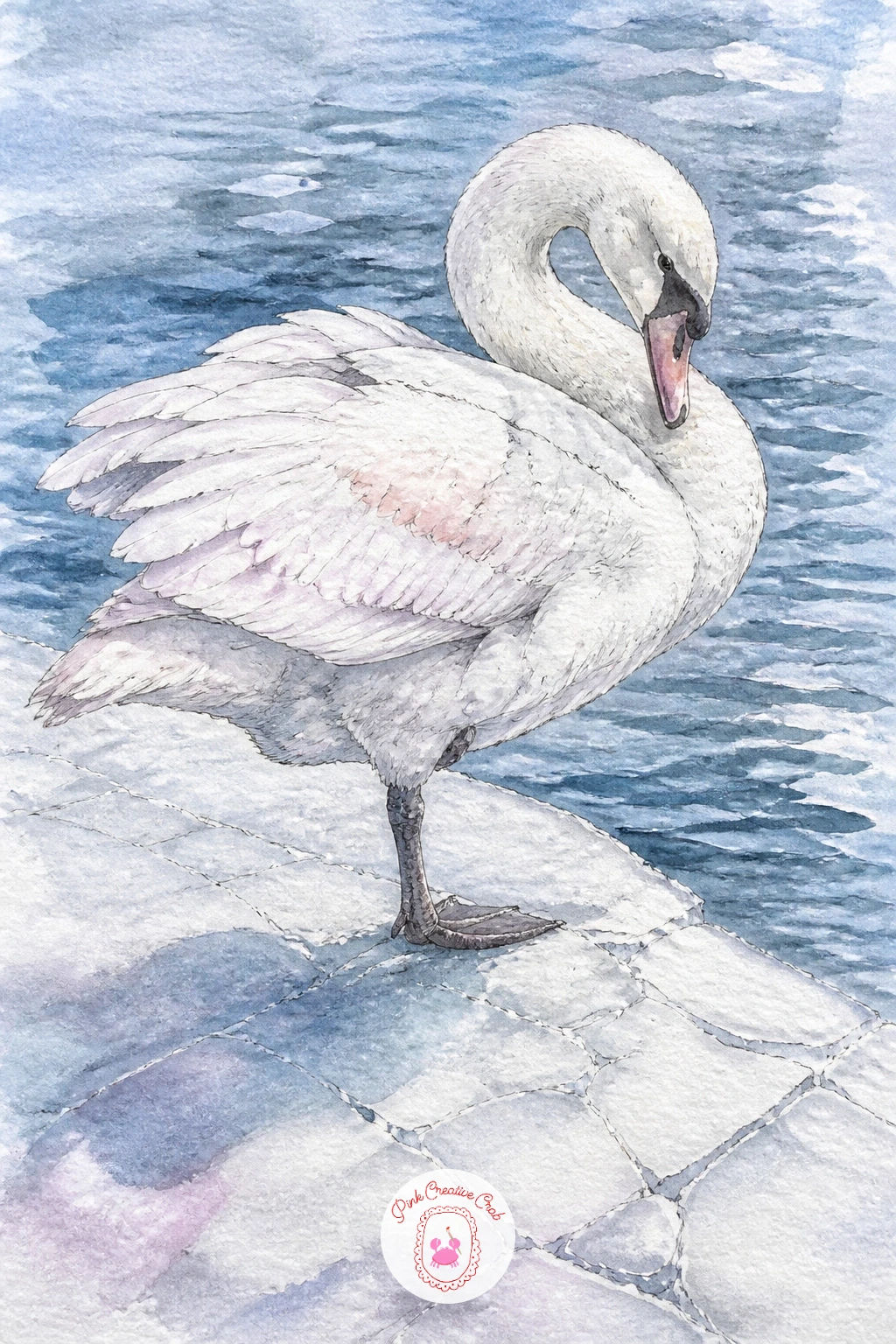 Swan Standing on One Leg on Thin Ice — A swan standing on one leg at the edge of thin ice asks you to think about light and balance together. Swan drawing