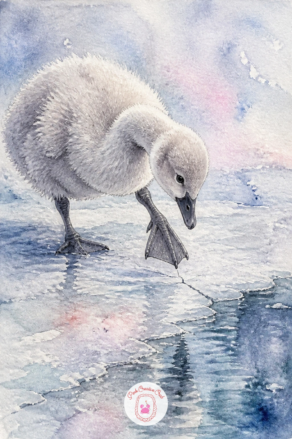 Cygnet Testing the Ice — Add a little tension with a cygnet testing the thin ice with one webbed foot. Swan drawing