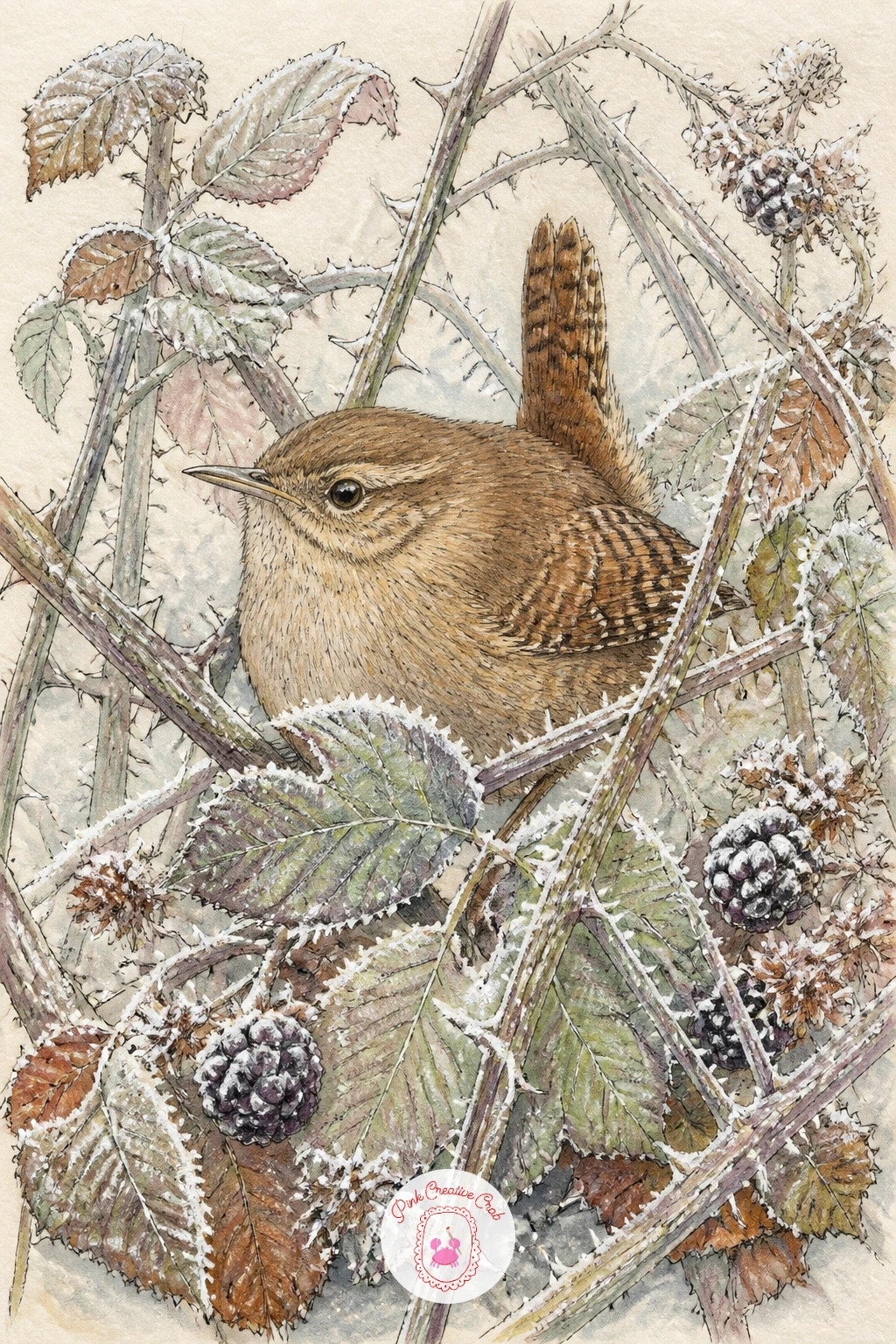 Wren In A Frosty Bramble — A wren tucked into a bramble tangle is tiny, round and fairly forgiving to draw, which makes it a good subject once you want a bird