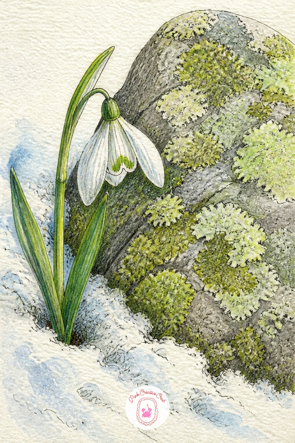 Snowdrop Beside A Mossy Stone — A single snowdrop pushing up through snow next to a mossy stone is one of the simplest pages on this list and a nice one if you