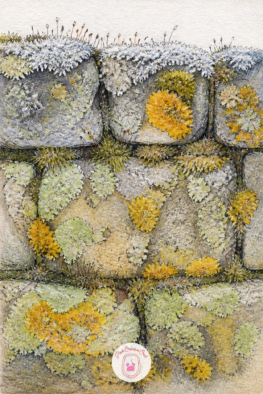 Lichen And Moss On A Stone Wall — A stretch of old stone wall covered in frost touched lichen and moss is really a texture study disguised as a landscape