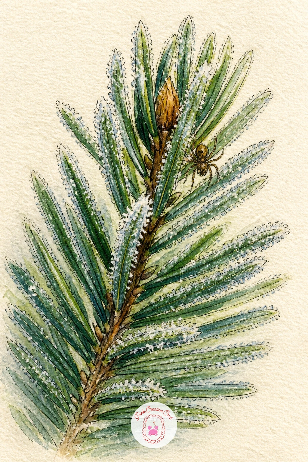 Evergreen Sprig With Frost And A Tiny Spider — Closing the journal on a small evergreen sprig dusted with frost and holding one tiny spider among its needles