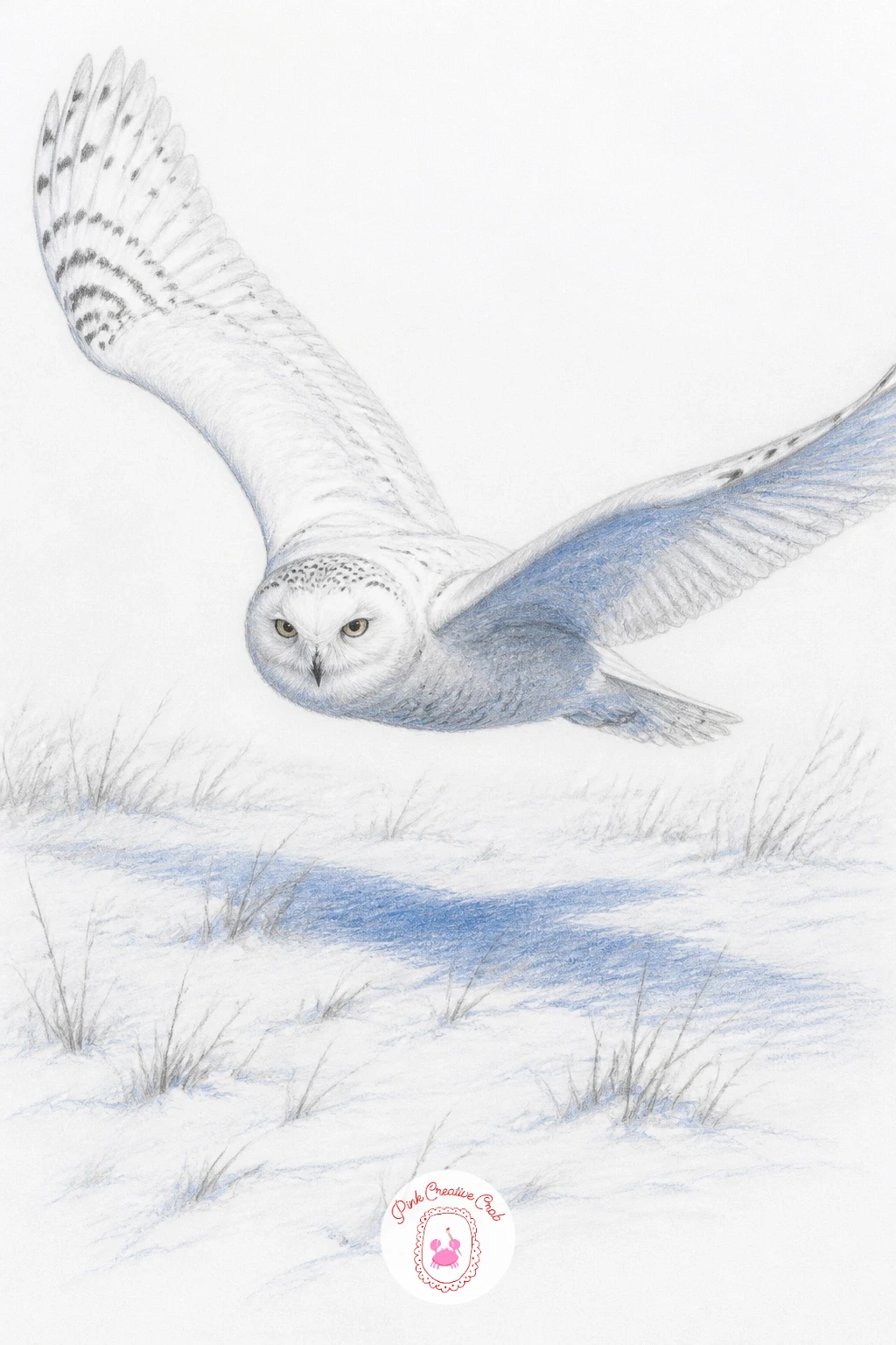 Snowy Owl Gliding Over a Field — Snowy owl gliding low over a white field with its wings spread wide makes a good opening piece because the body is one simple