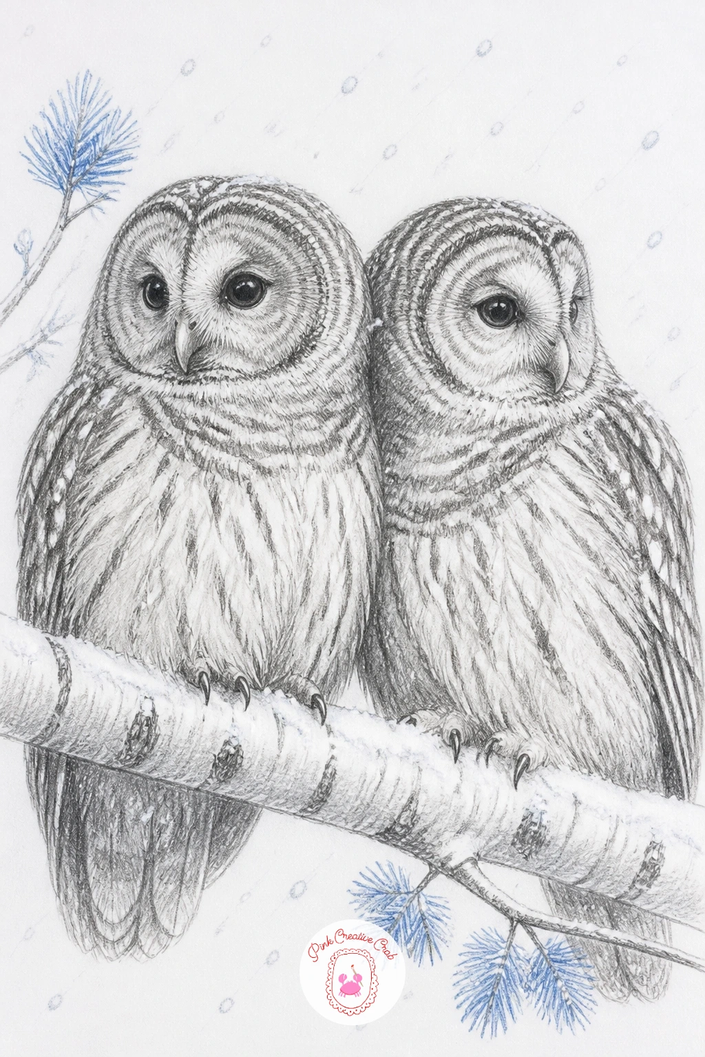 Pair of Owls on a Birch Branch in Falling Snow — Pair of owls sitting close on a birch branch in falling snow is a quietly romantic composition that works well