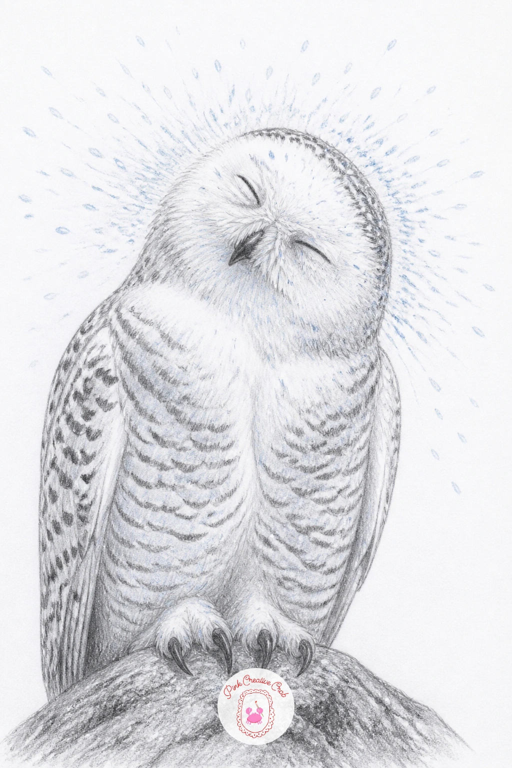 Snowy Owl Shaking Off Snow — Snowy owl shaking snow off its head after a flurry is a lively little moment that depends on getting motion into the head and