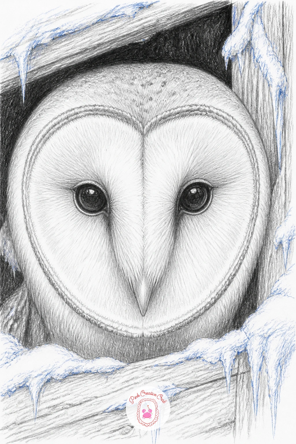 Barn Owl's Face in a Snowy Barn Loft — Barn owl's heart-shaped face peering out of a snowy barn loft is a close-up portrait rather than a full-body pose, which
