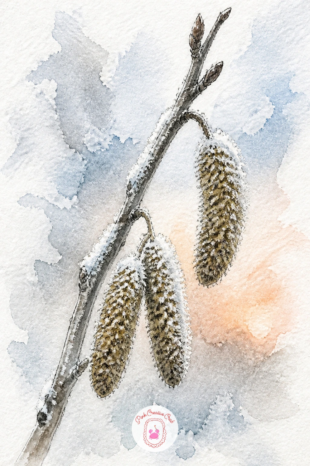 Frosted Birch Catkins on a Bare Twig — Move in close for this quiet one: a single bare twig holding a few birch catkins dusted with frost. Birch tree art