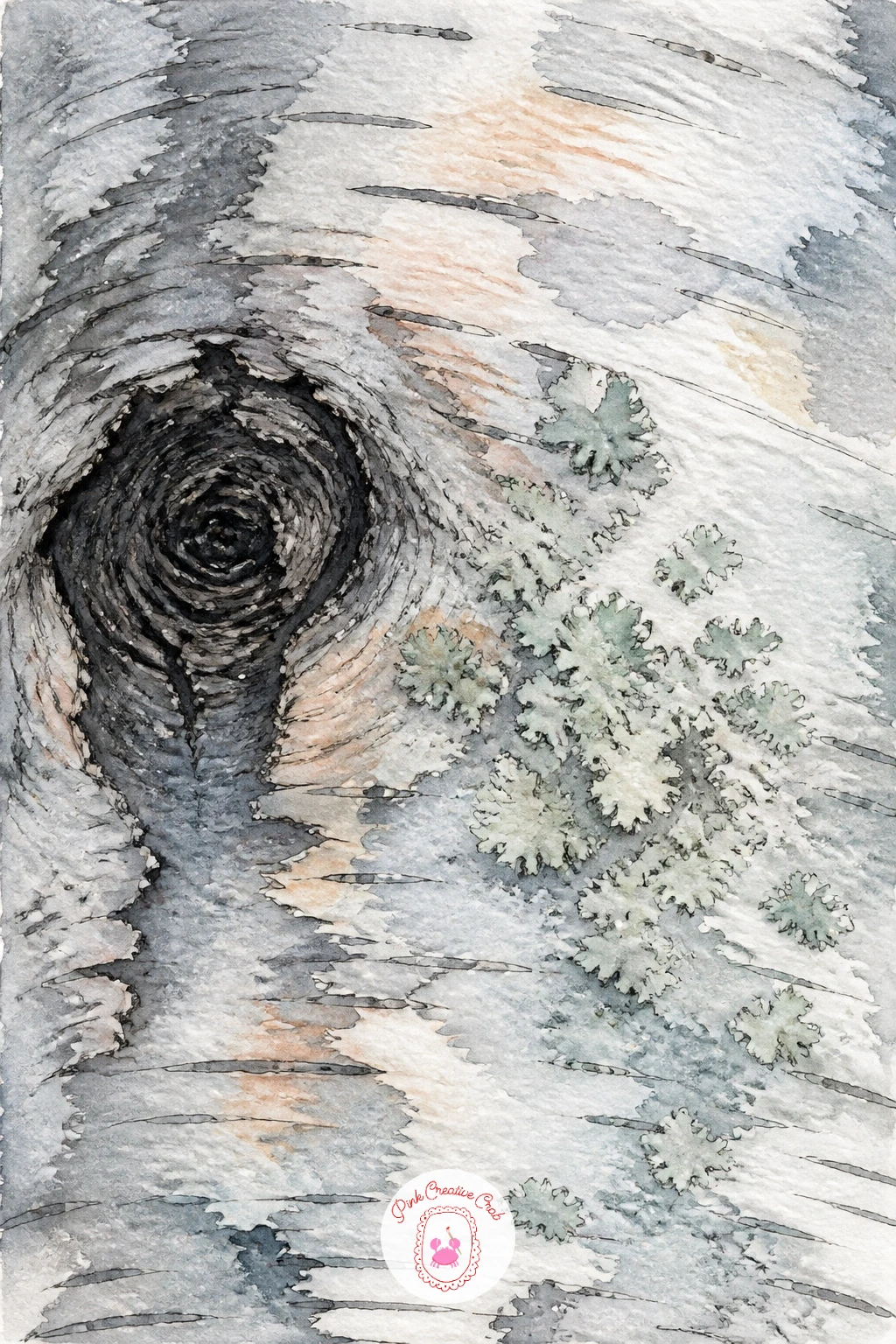 Bark Close Up With a Dark Knot and Lichen — Return to a pure texture study for this one: a close up of birch bark centered on a dark knot with a few lichen