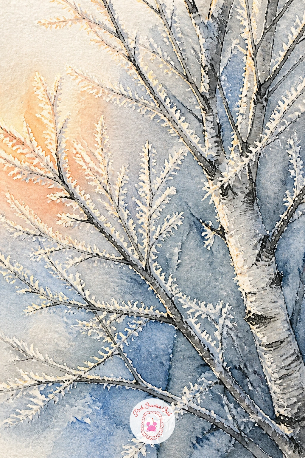 Frosted Birch Branches Catching Low Sun — Close in on a cluster of bare birch branches with frost crystals catching low sun. Birch tree art