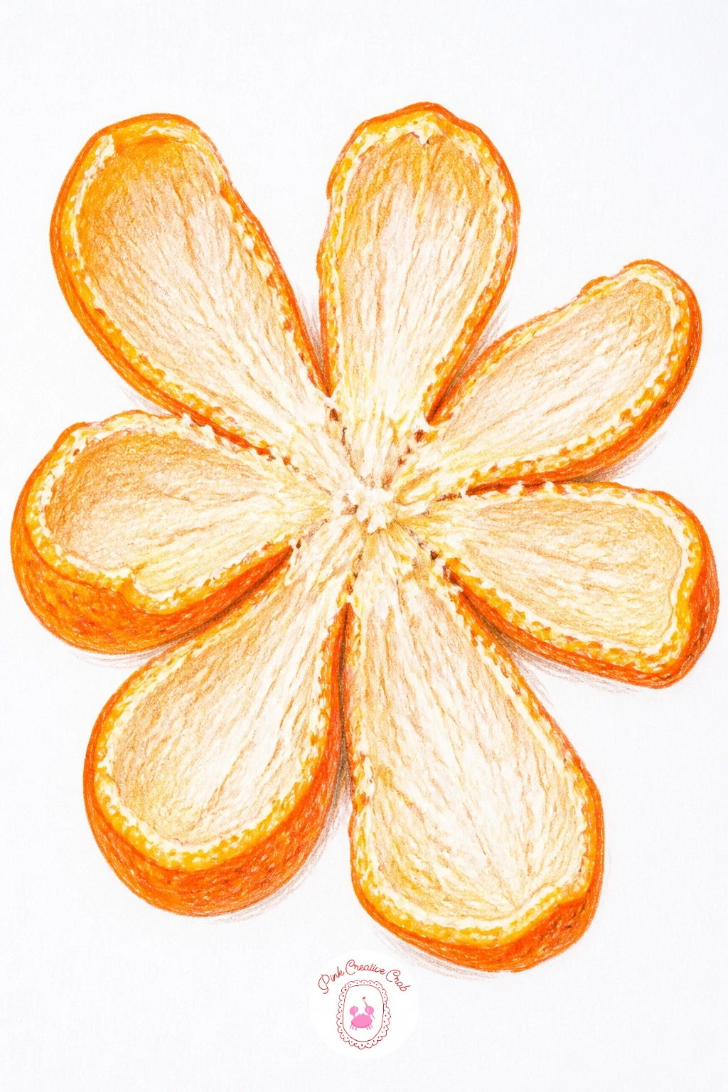 Clementine Peel Opened Like a Flower — This is a quieter, more graphic subject: a clementine peel opened flat on a napkin so its sections fan out like petals