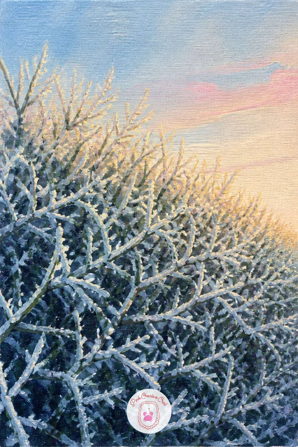 Frosted Hawthorn Hedge Sparkling in Low Winter Sun — A hawthorn hedge gives you a wide, tangled mass of small branches rather than one clear trunk, so work it