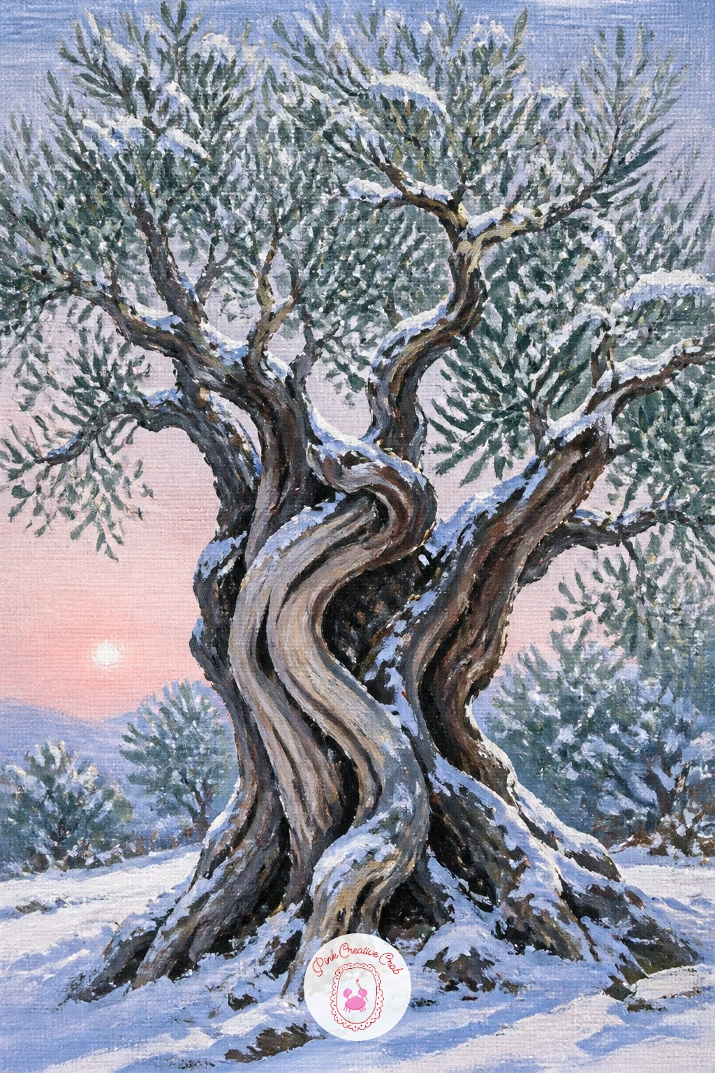 Old Olive Tree With a Rare Dusting of Snow — Olive trees have a distinctive gnarled, almost sculptural trunk, so spend more time than usual on its twists and